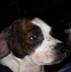 Meet your Posher, Lori